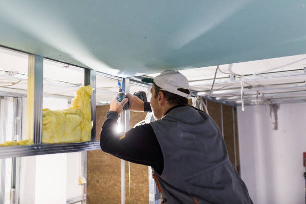 Best Eco-Friendly Insulation in Providence, KY