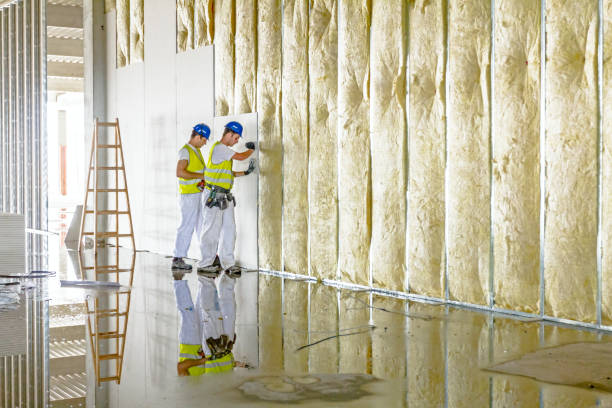 Best DIY Insulation Kits and Guidance in Providence, KY